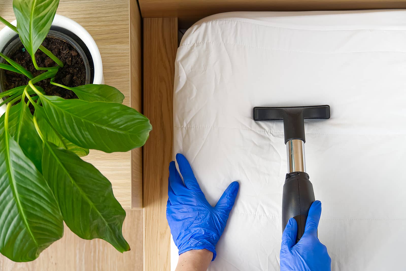 Upholstery Cleaning Long Beach Mattress Cleaning